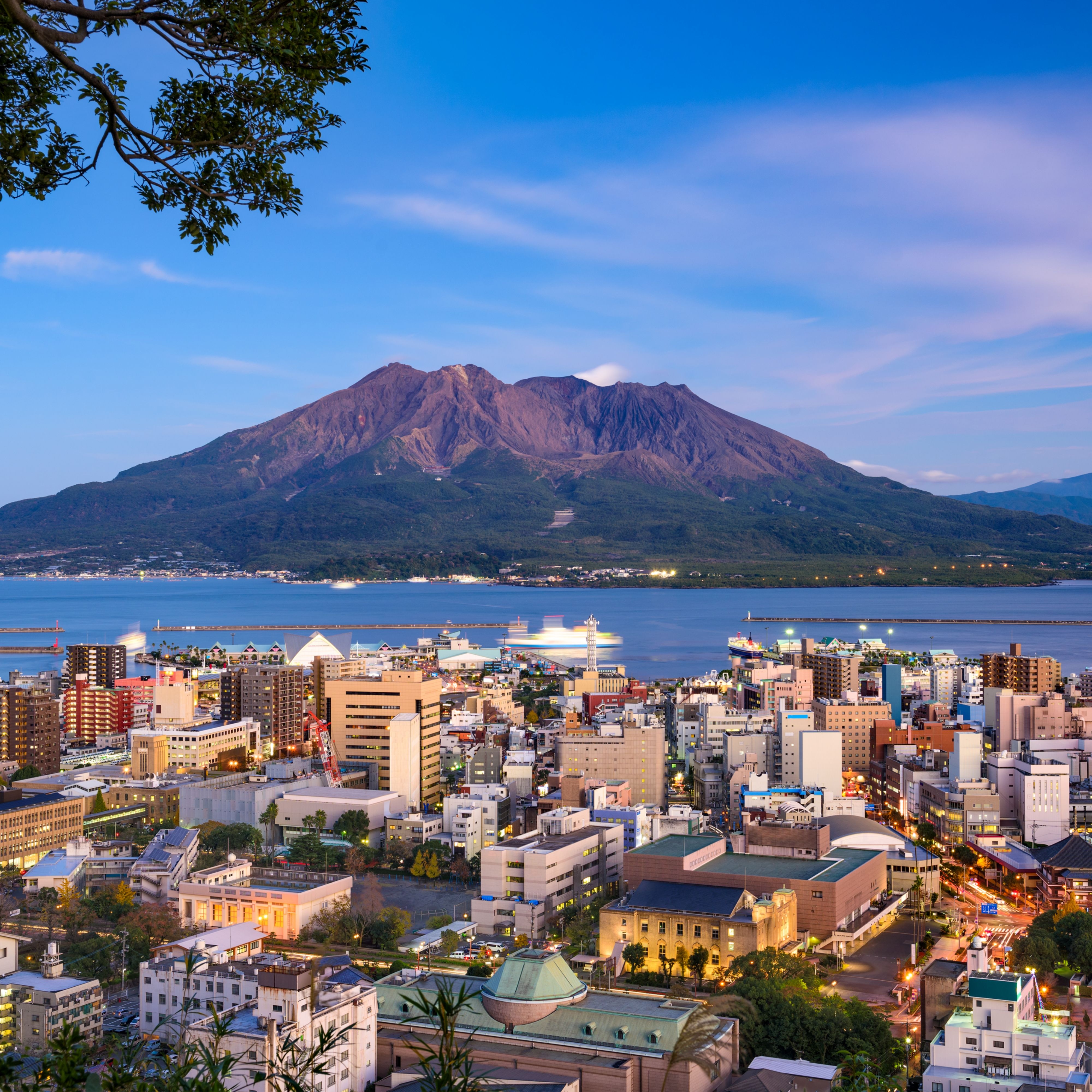 일본