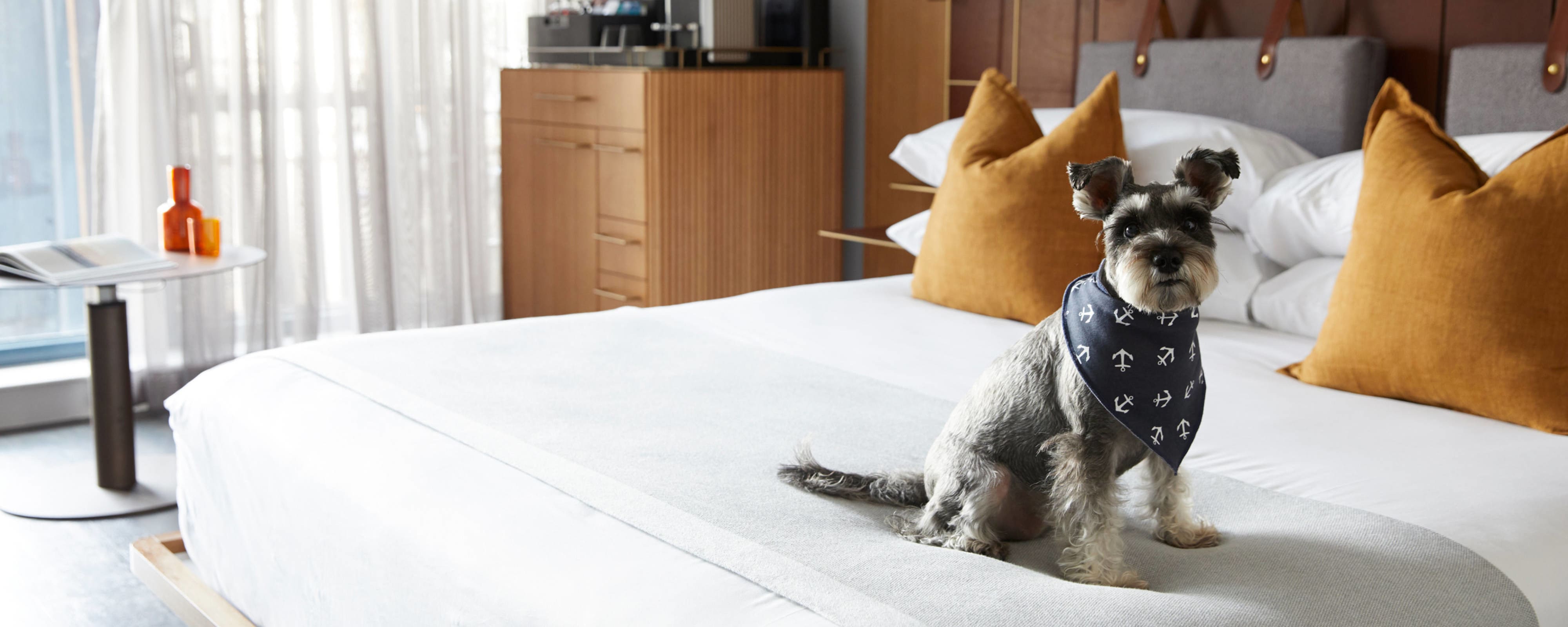 Pier one schnauzer pillow online